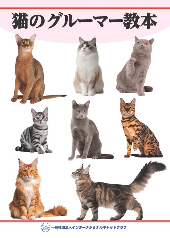 猫のグルーマー教本