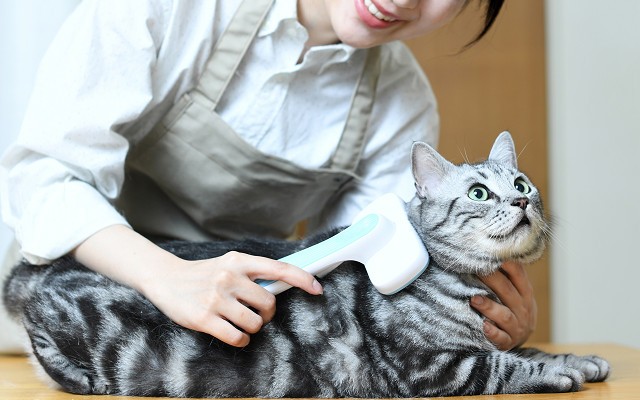 グルーマーライセンスについて